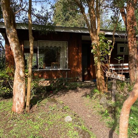 Cabanas El Bosque Patagonico Frutillar Exteriér fotografie