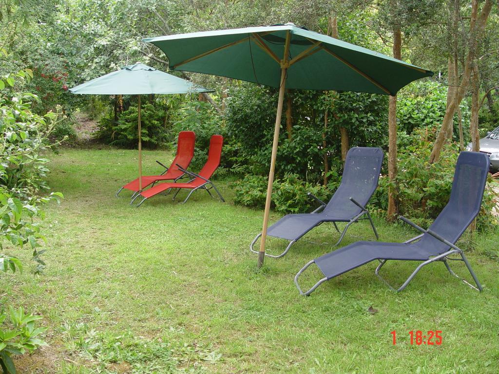 Cabanas El Bosque Patagonico Frutillar Pokoj fotografie