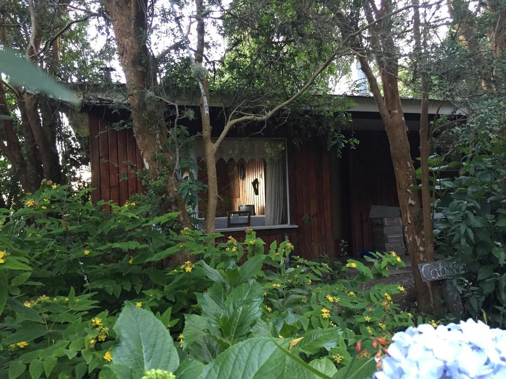 Cabanas El Bosque Patagonico Frutillar Exteriér fotografie