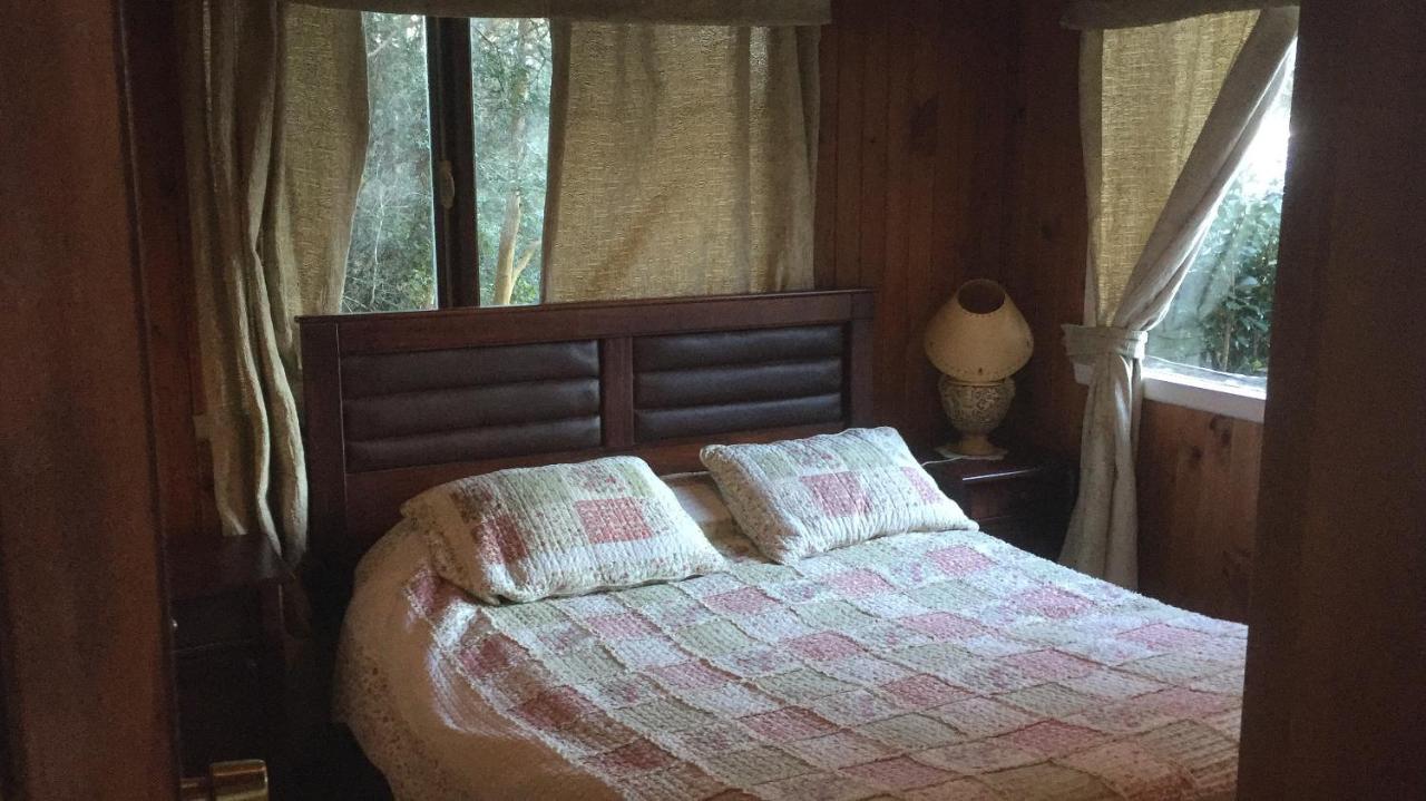 Cabanas El Bosque Patagonico Frutillar Exteriér fotografie